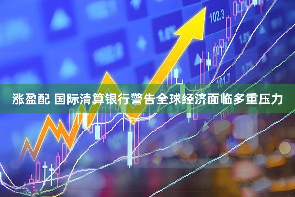 涨盈配 国际清算银行警告全球经济面临多重压力