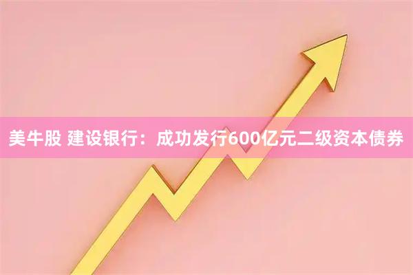 美牛股 建设银行：成功发行600亿元二级资本债券